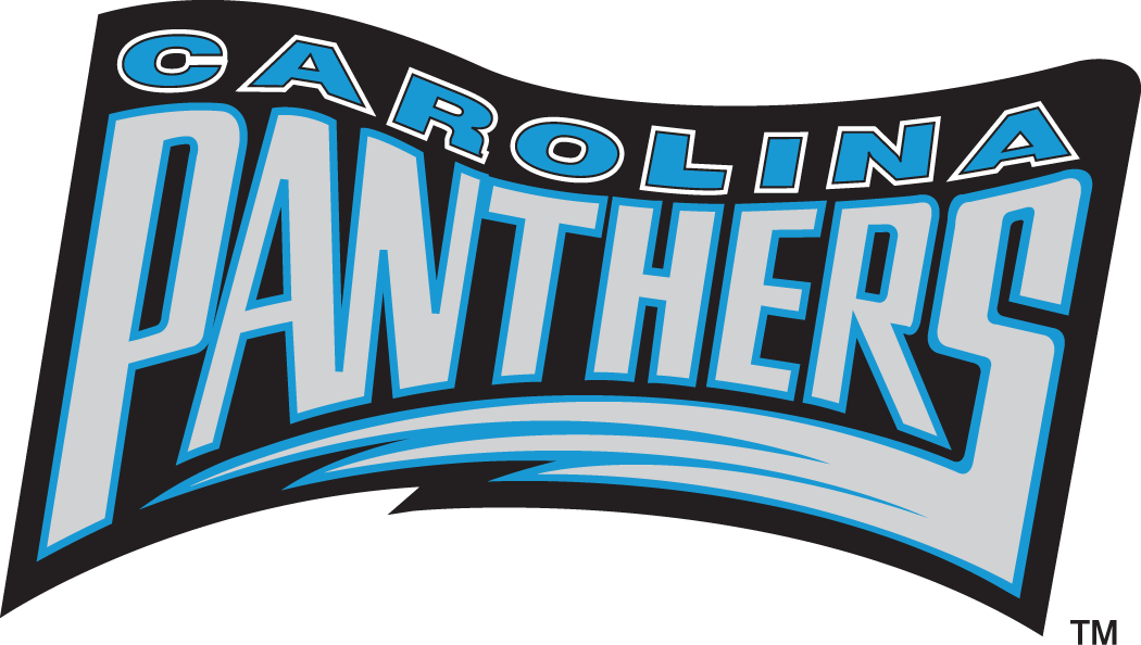 Carolina Panthers 1995 Wordmark Logo iron on transfers for clothing